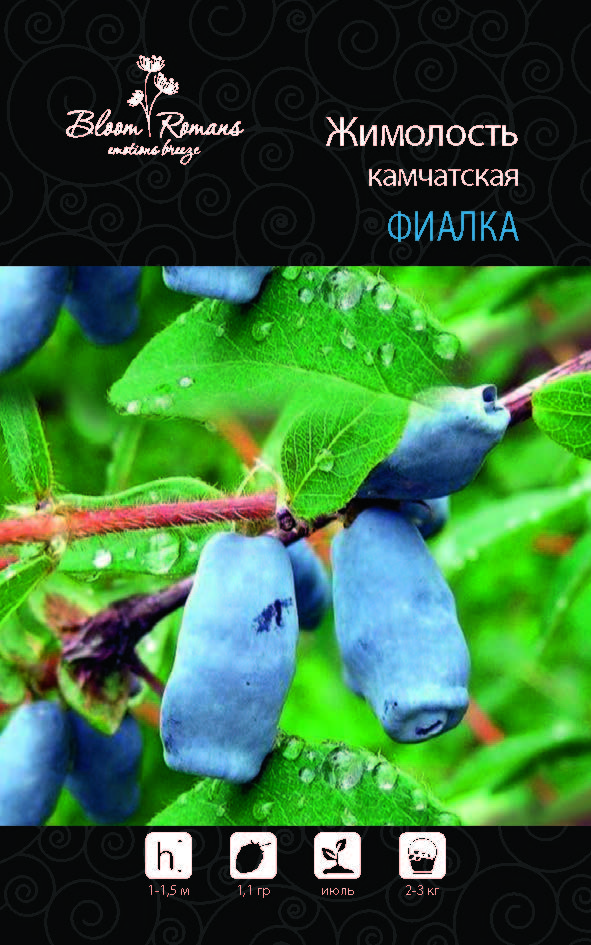 Жимолость камчатская Фиалка